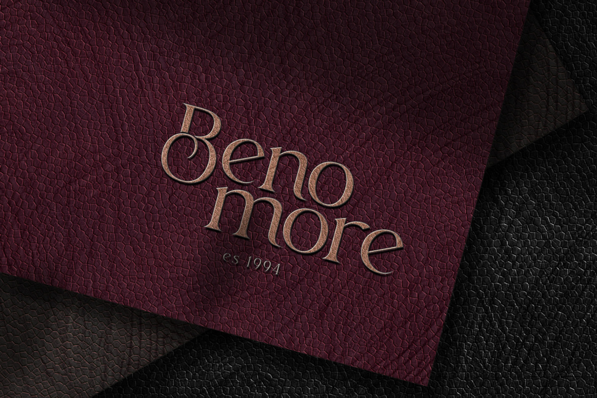 Beagio Modern Elegant Serif Font, a Serif Font by Vadovastd (Photo 8 of 8)