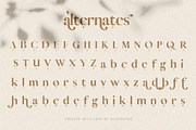 Vicky Christina Ligature Serif Font, a Serif Font by SilverStag Type Foundry (Thumbnail 24 of 25)