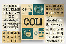 Coli | Modern Luxury Serif