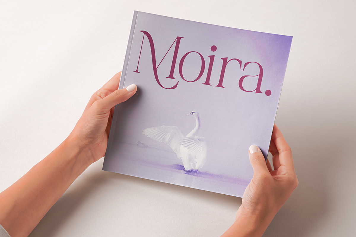 Palgrace Modern Serif Typeface Font, a Serif Font by Vadovastd (Photo 8 of 11)