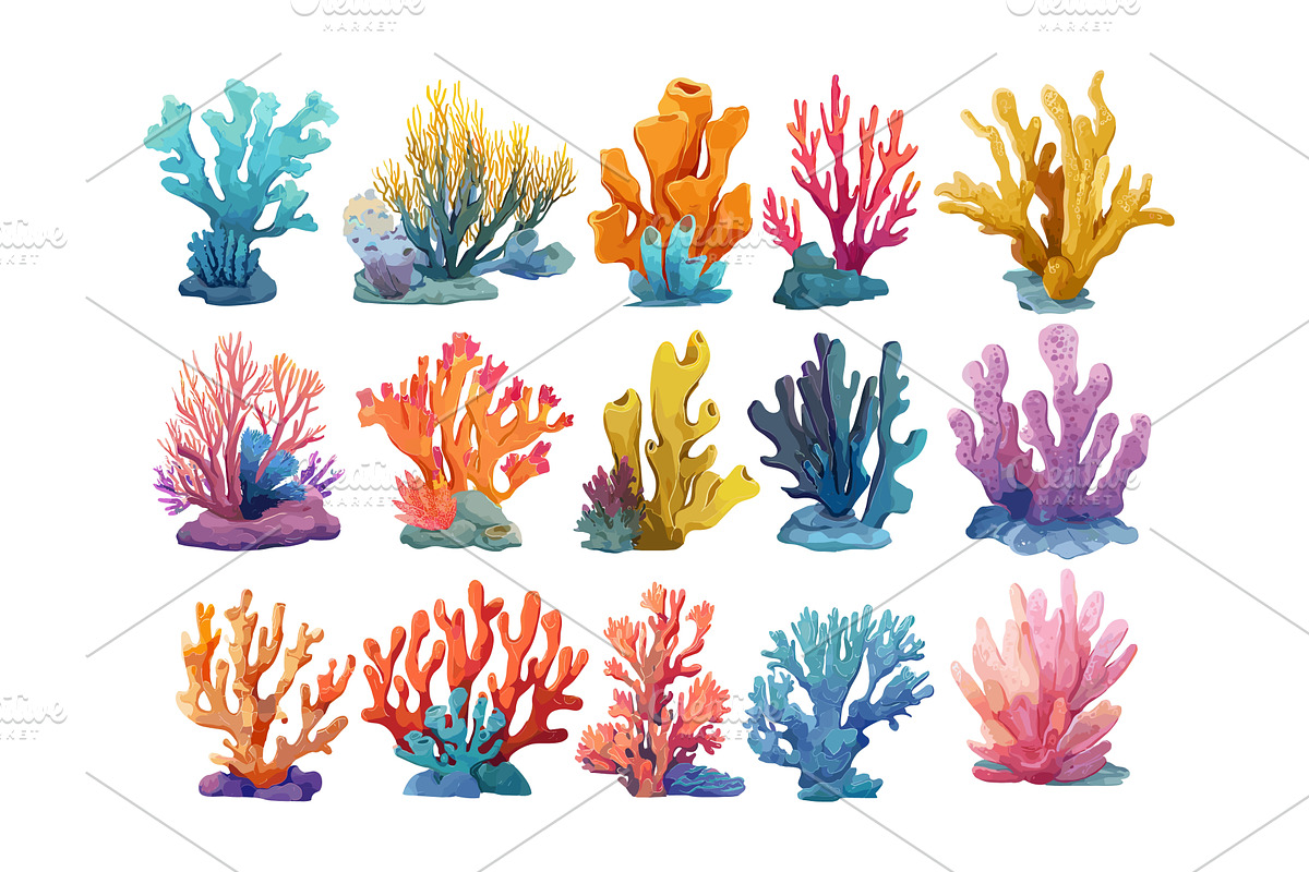 Coral reef elements cartoon vector, an Animal Illustration by Onyx