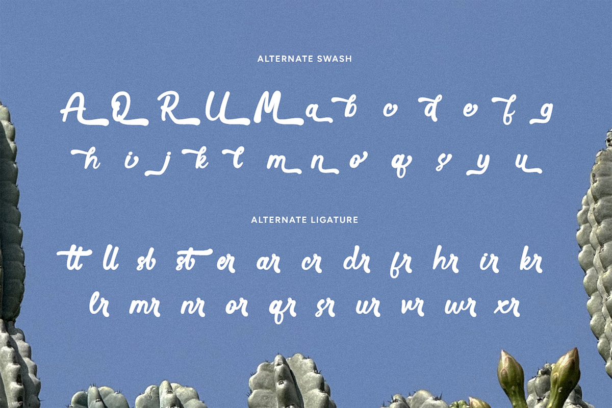 Savel - Rounded Script Font, a Font by Pekotype (Photo 2 of 15)