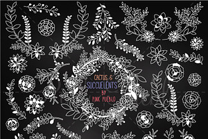 Chalkboard Succulent Clipart/Vectors