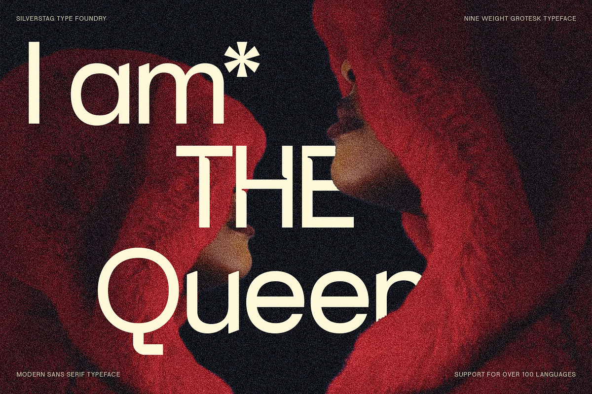 SLTF Skyling - Geometric Typeface, a Sans Serif Font by SilverStag Type Foundry (Photo 15 of 25)