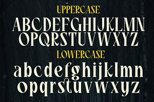 Soul Ozees - A Modern Serif