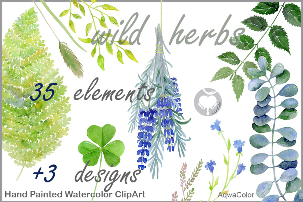 Warecolour clipart Wild herbs, a Healthcare Illustration by AqwaColor (Photo 1 of 4)