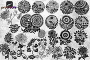53 Chrysanthemums Stamp Brushes, a Brush Add-On by TheWhiteCatLab (Thumbnail 4 of 4)