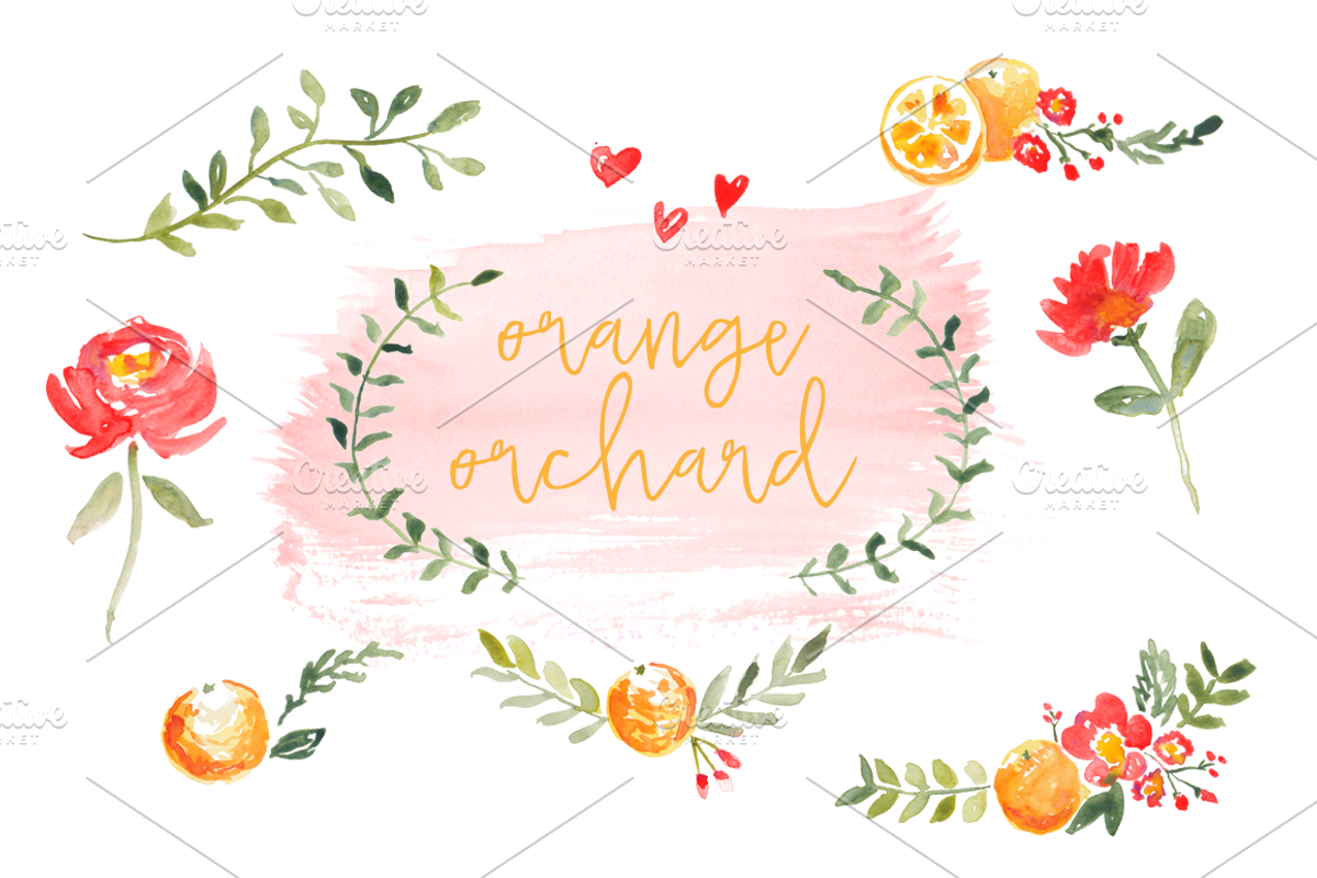 Orange Orchard Watercolor Elements, an Illustration by Susan Brand Design (Photo 2 of 2)