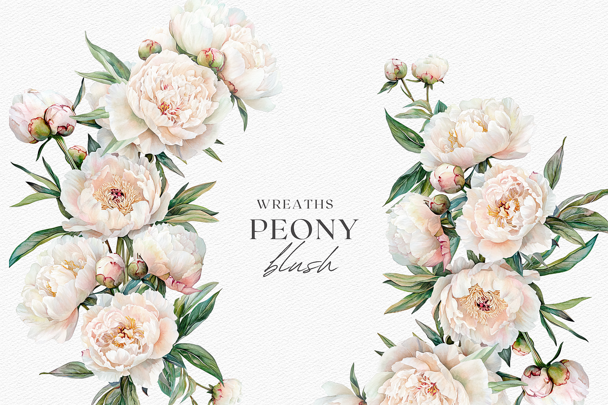 Peony Blush - Watercolor, a Decorative Illustration by ThaismotaCreativeCo (Photo 6 of 11)