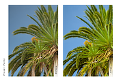 Travel Blogger LR - Presets, a Preset Add-On by khoai_tây (Thumbnail 5 of 11)