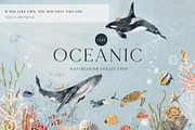 Watercolor underwater ocean animals, an Animal Illustration by Grace Noboa Illustrations (Thumbnail 2 of 9)