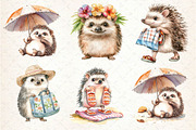 Summer Hedgehog Clipart, an Illustration by Dream Creation (Thumbnail 3 of 6)