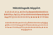 Qedhenif – Serif Classic Modernism, a Serif Font by twinstd (Thumbnail 11 of 13)