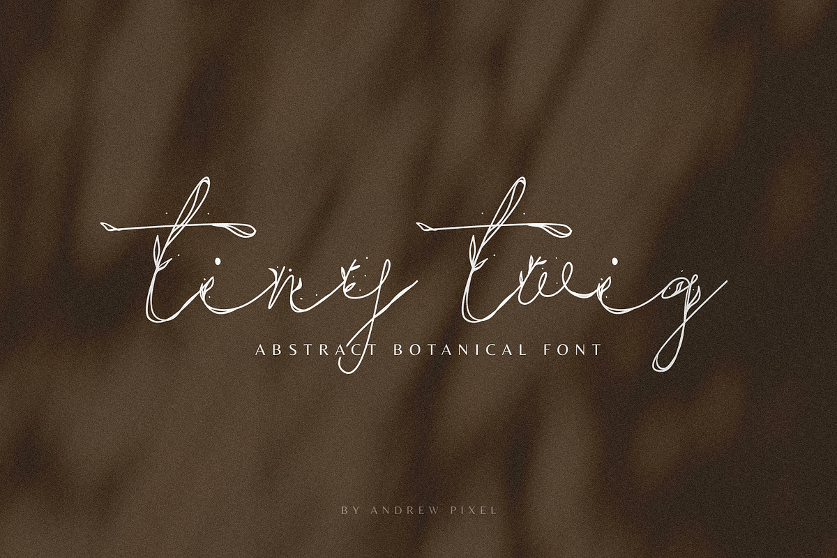 Tiny Twig - Botanical Display Font, a Handwritten Font by AndrewPixelType (Photo 1 of 7)