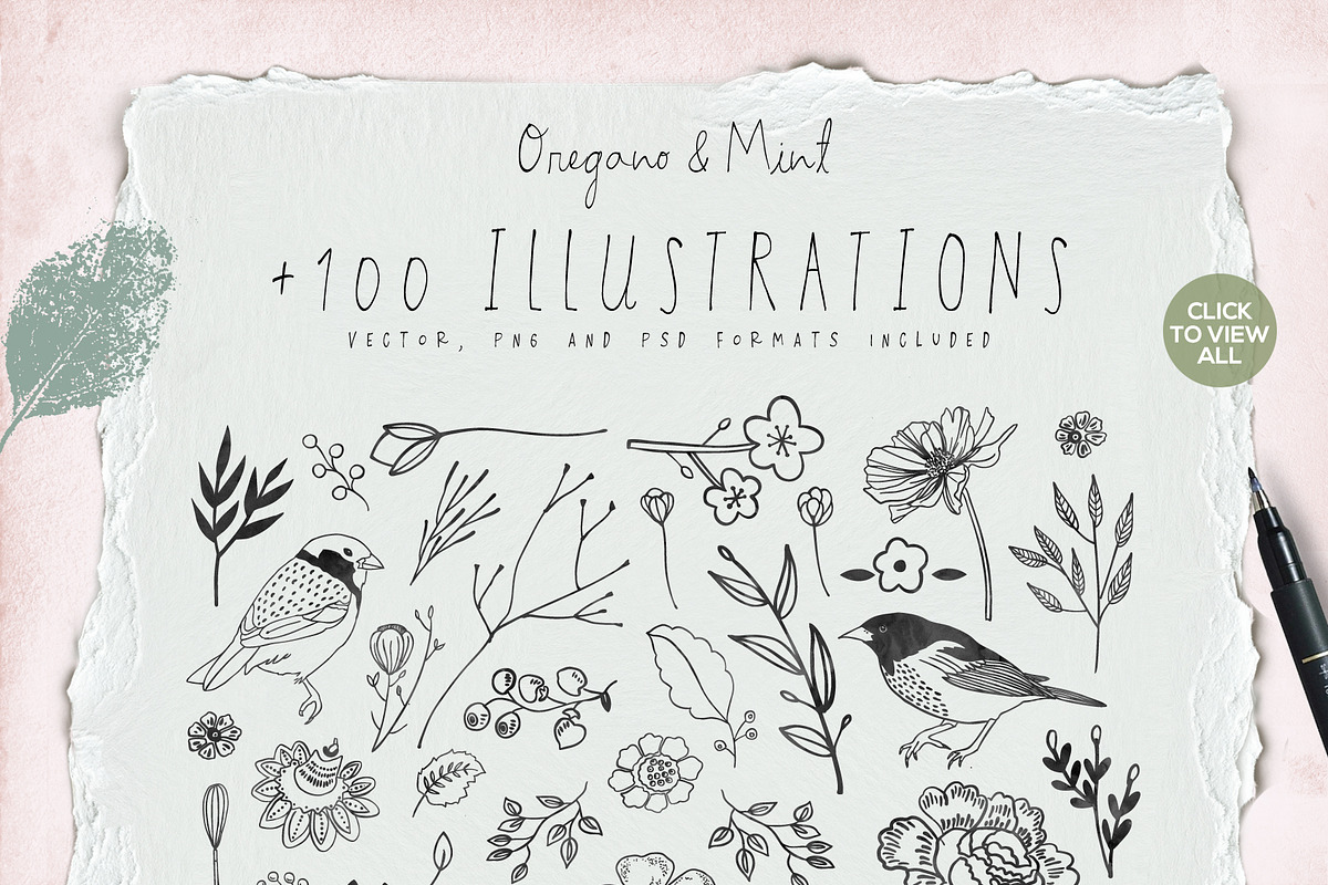 Oregano and Mint Font and Logos preview 5