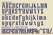 PANTHEON COMBINED - Condensed Font, a Serif Font by 177Studio (Thumbnail 8 of 8)
