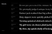 Rainesta Font, a Serif Font by Digitype Studio (Thumbnail 8 of 10)