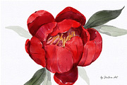Realistic Watercolor Procreate Brush, a Brush Add-On by Jenteva Art (Thumbnail 10 of 15)