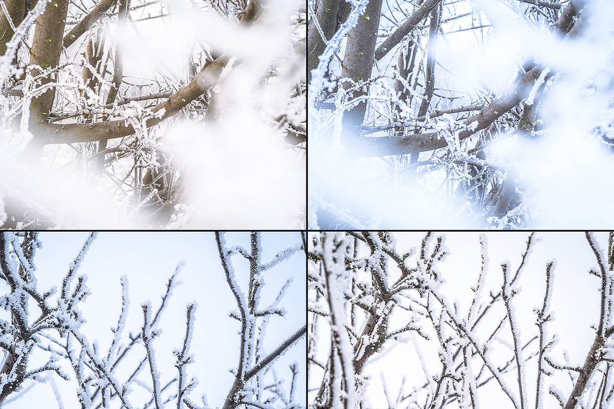 Frozen morning bundle /77pics, a Background Graphic by tydla (Photo 8 of 12)