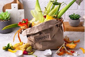 Vegetable waste for making compost, a Background Photo by Yulia Furman