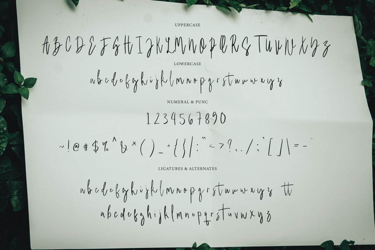 Amirthane - Brush Signature, a Handwritten Font by executypeStudio (Photo 3 of 10)