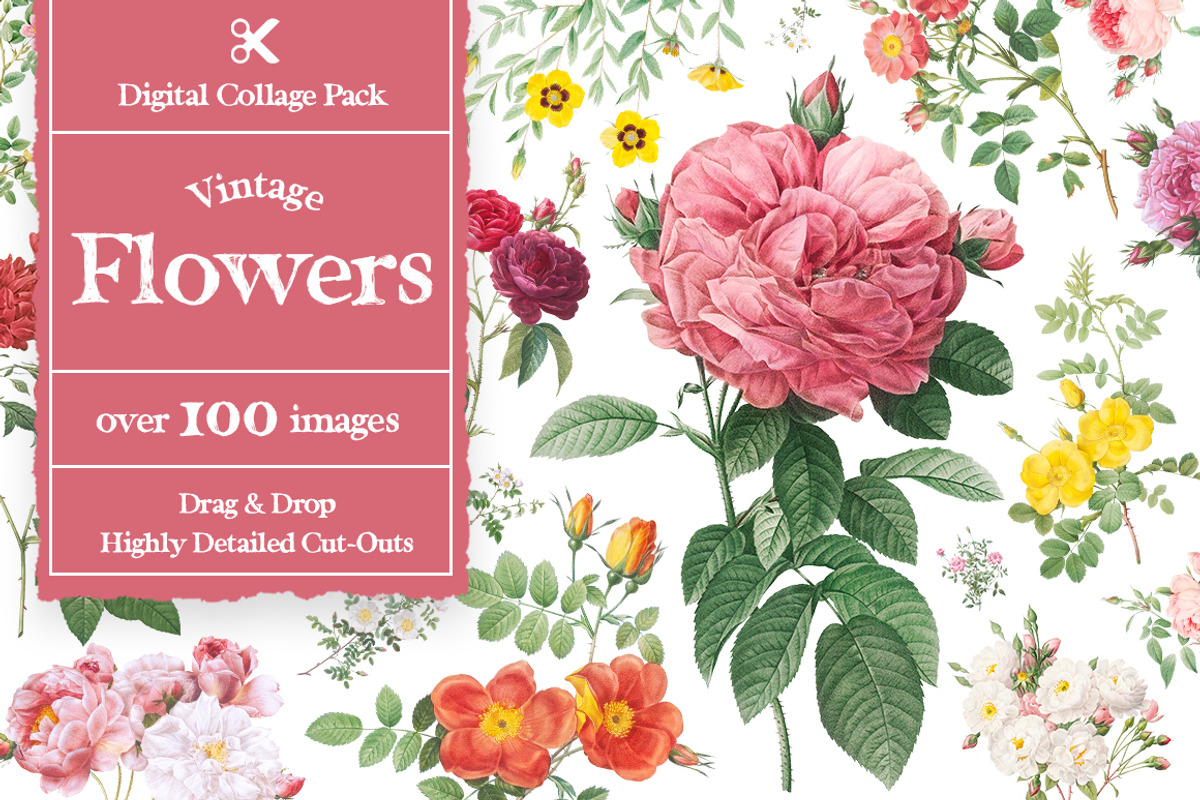 Vintage Flowers Digital Collage Pack, an Object Graphic by Collage Supply Co (Photo 1 of 3)