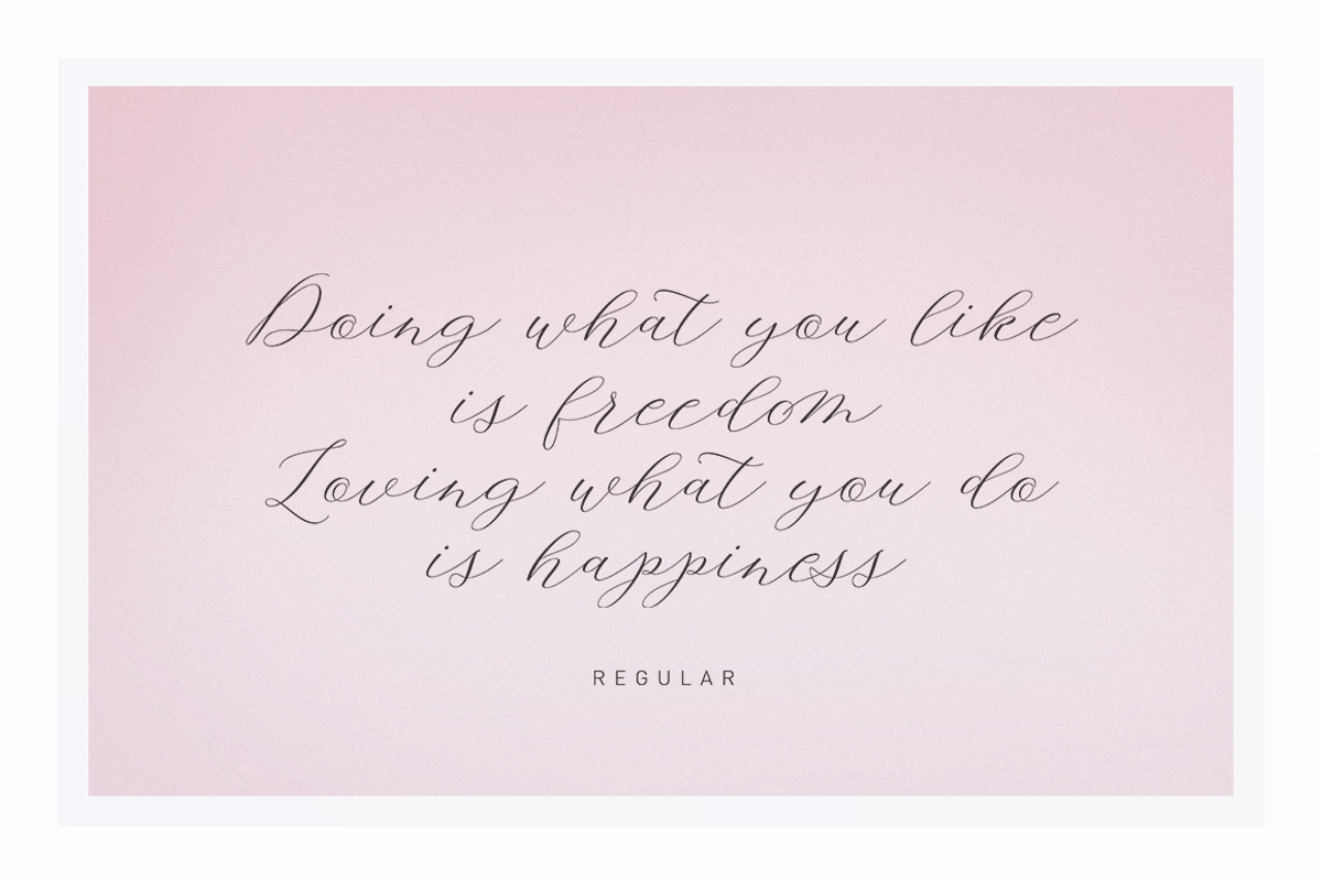 Amelina Script New Update Font Duo, a Script Font by Areatype (Photo 6 of 9)