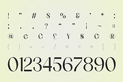 Elnara Luxury Editorial Serif Font, a Serif Font by Rasio Studio (Thumbnail 3 of 9)