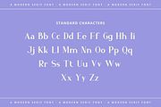 Quadrant Display, a Serif Font by RockboyStd (Thumbnail 10 of 12)