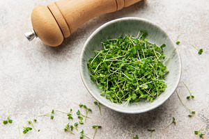 Microgreens in bowl with wooden pepper mill, a Food & Drink Photo by Olena Rudo