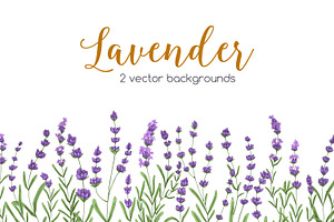 Lavender Flower Background Borders