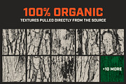 Tree Bark-Organic Wood Textures, a Texture Graphic by Slapshot Design Co (Thumbnail 4 of 8)