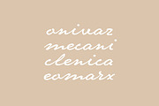 Sheila Script, a Handwritten Font by Saystype (Thumbnail 5 of 7)