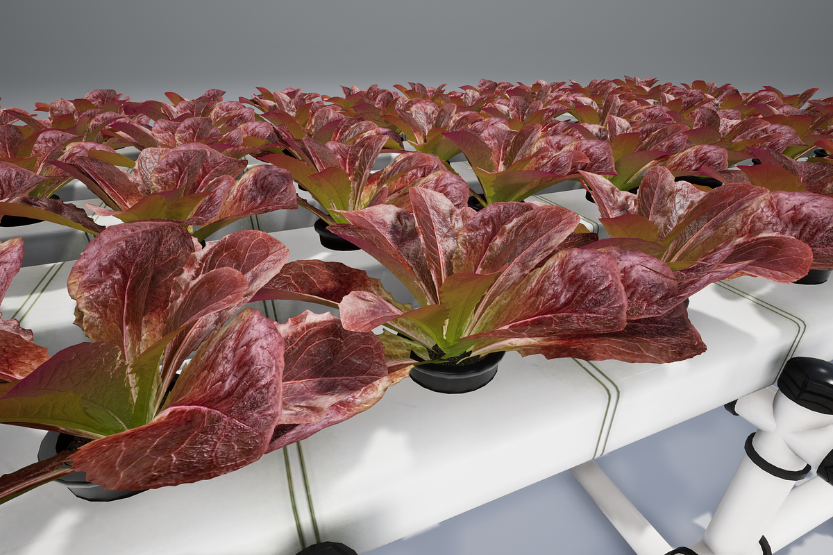 Hydroponics system LG, an Environmental 3D Model by AndrewWhite (Photo 17 of 17)