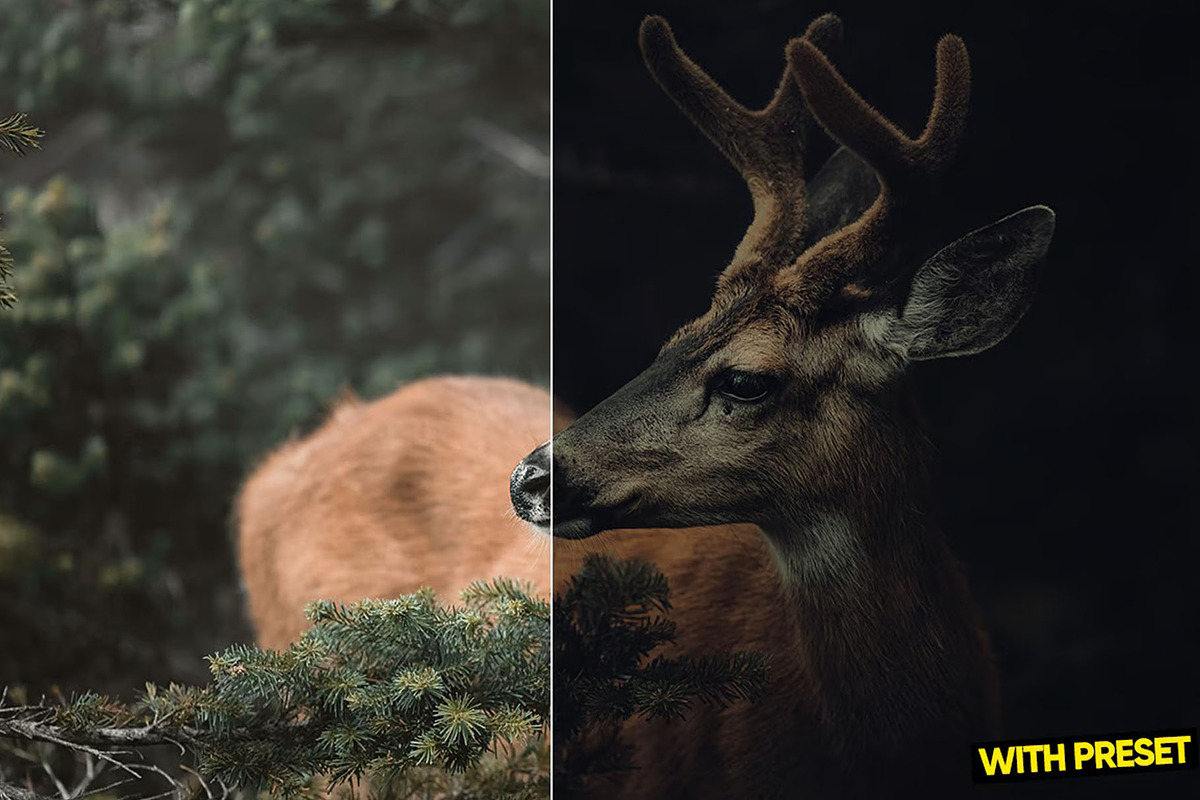 Styled Presets for Lightroom, a Preset Add-On by Hubzway (Photo 2 of 5)
