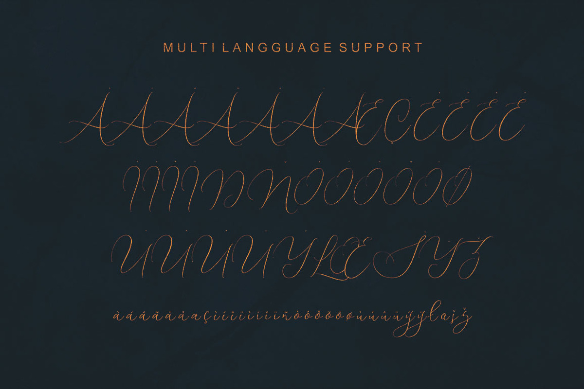 Shailene Script Font preview 8
