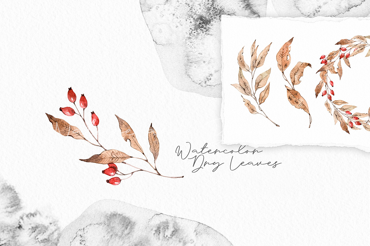 Watercolor Nature and Birds set, an Illustration by Alamella (Photo 7 of 13)