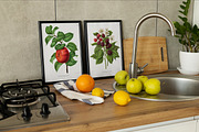 Vintage Flowers & Fruits Ephemera, a Graphic by Craftsy Crafters (Thumbnail 5 of 6)