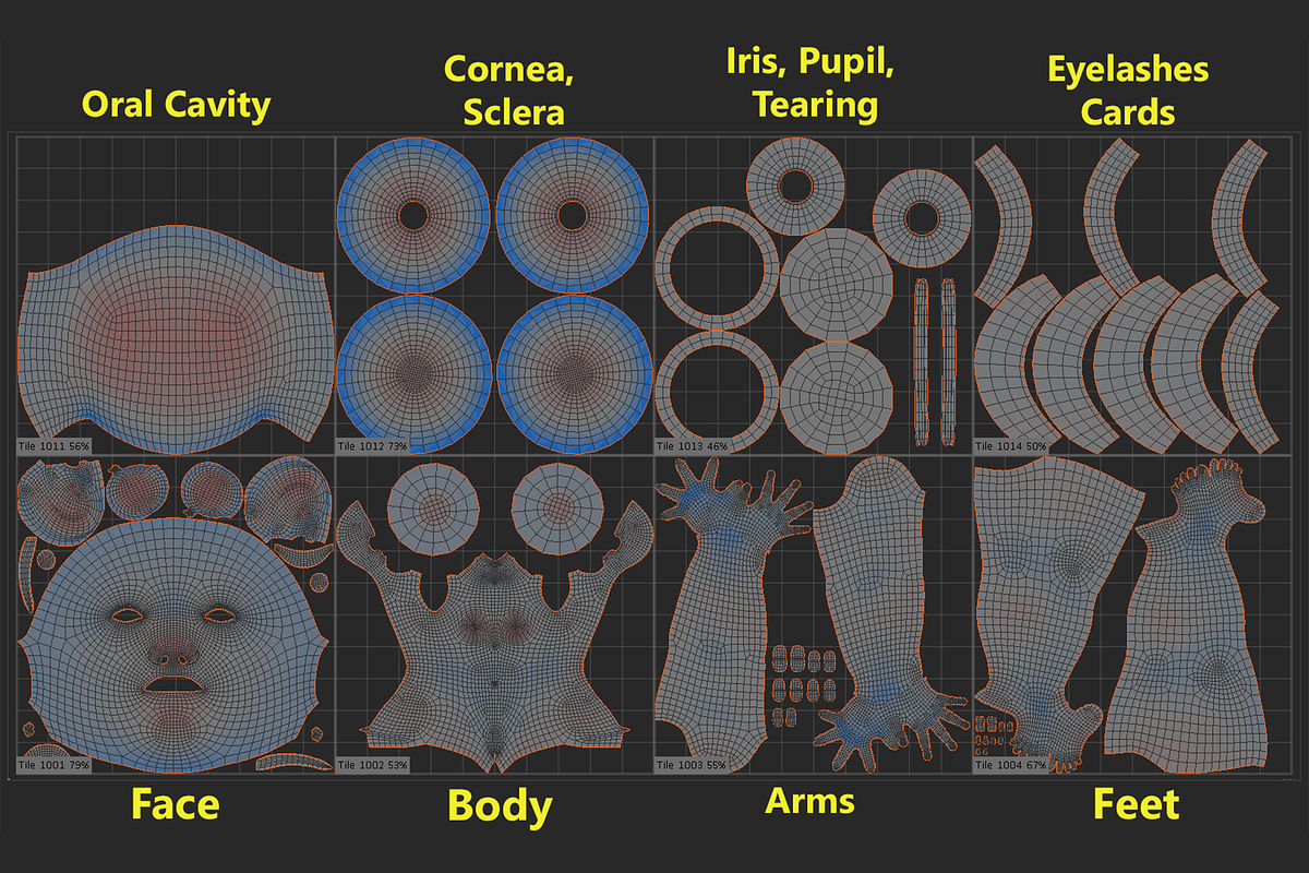 Natural Female 01 A-Pose Base Mesh, a Characters & Person 3D Model by VK Studio (Photo 26 of 26)