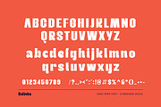 Ralinka - Modern Display Sans Serif, a Sans Serif Font by TypeLogue (Thumbnail 5 of 5)