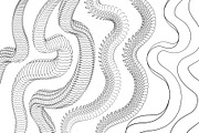 Japanese Dragon Kit for Procreate, a Brush Add-On by InkRef (Thumbnail 5 of 6)