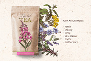 Hand drawn medicinal herbs, a Healthcare Illustration by handsketched (Thumbnail 9 of 14)