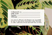 Ana's Rusty Typewriter font, a Serif Font by Ana's Fonts (Thumbnail 3 of 3)