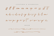 Leneora Seraphine Brush Handwritten, a Script Font by Denustudios (Thumbnail 13 of 15)