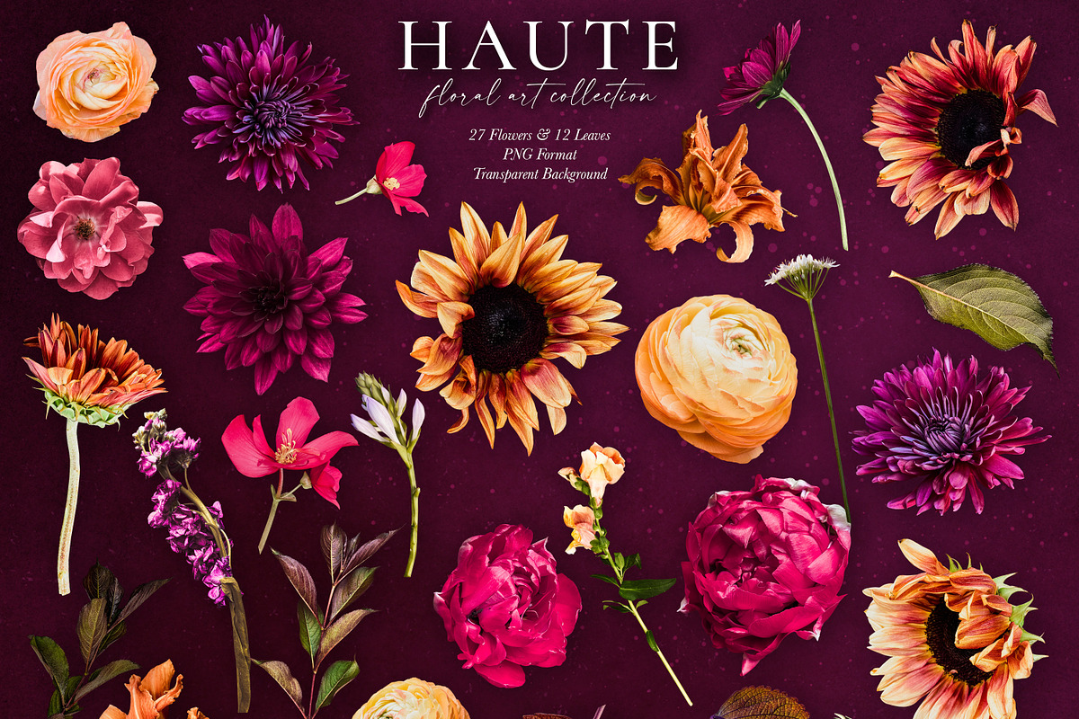 Haute Floral Art Collection, an Object Graphic by Eclectic Anthology (Photo 12 of 16)