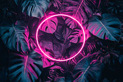 Frames in Neon Fluorescent Light, a Templates & Theme by VetalStock (Thumbnail 5 of 5)