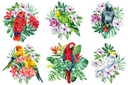 Tropical birds watercolor clipart, an Animal Illustration by Hanna Hryharenka (Thumbnail 6 of 12)