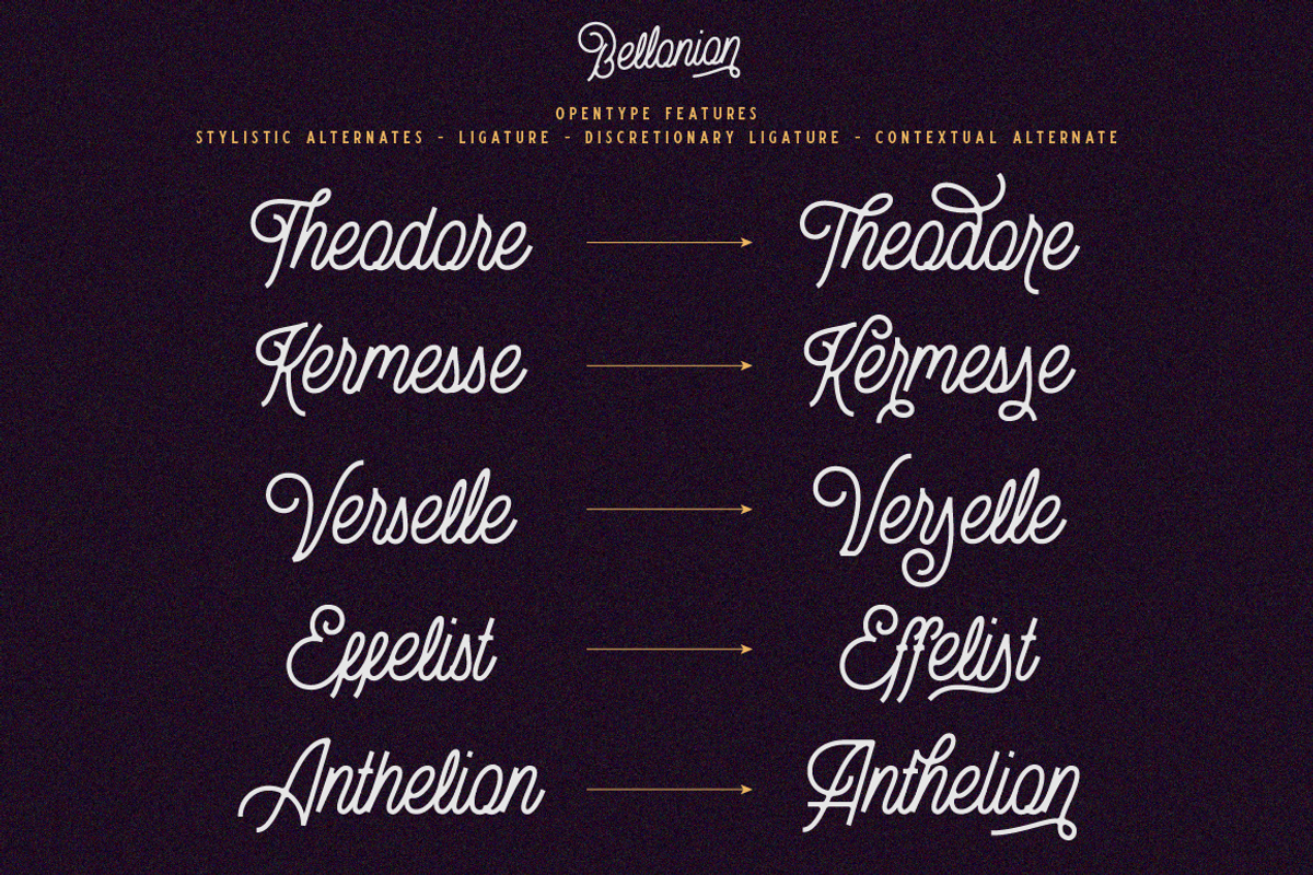 Bellonion Script ( font duo ) preview 3