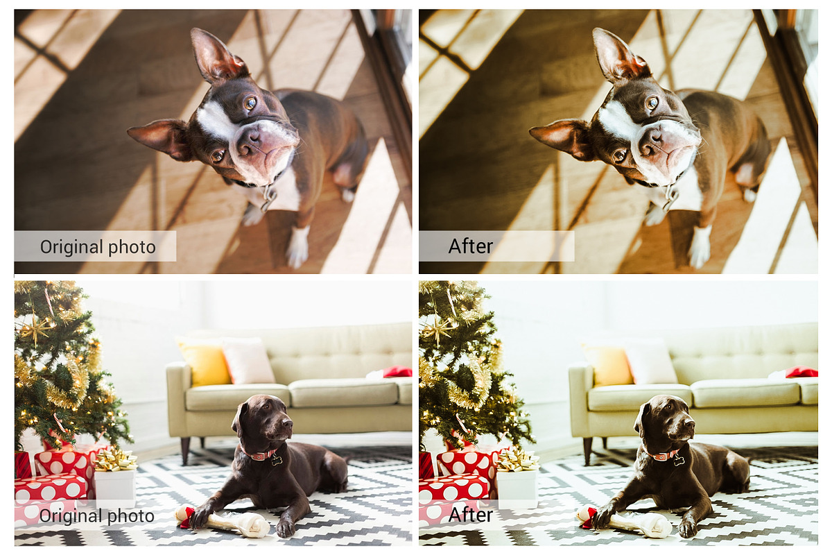 Lovely Pets Lightroom Presets, an Action Add-On by DreamColor (Photo 5 of 10)