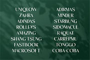 Gabriel Sarikaya - Unique Typeface, a Sans Serif Font by Artchitype Studio (Thumbnail 8 of 14)